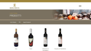 catalogo winery web solidea