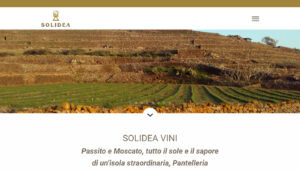 home winery web solidea