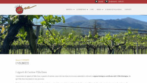 pagina winery ecommerce
