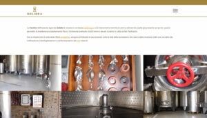 pagina winery web solidea